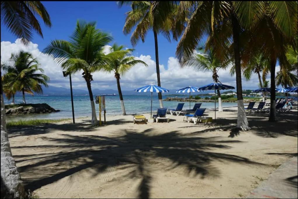 Grand Bleu-Superbe T2 Vue Mer & Acces Plage Le Gosier  Exterior photo